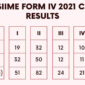 CSEE 2021 85x85